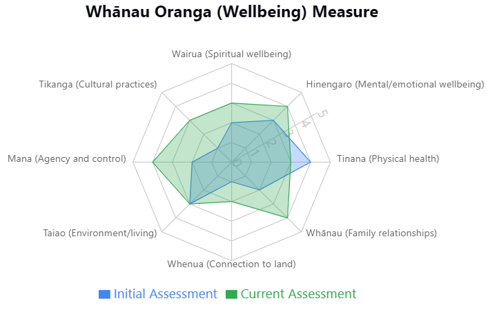 Manaaki Care Whānau Oranga Radar